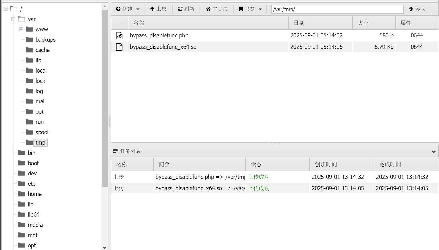image-20250901131622620